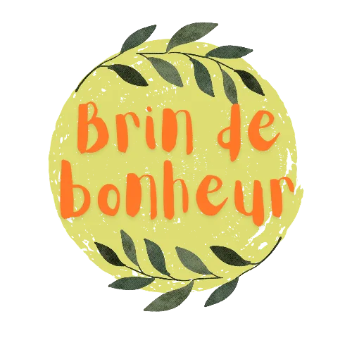 logo brin de bonheur 20260621 170017 0000